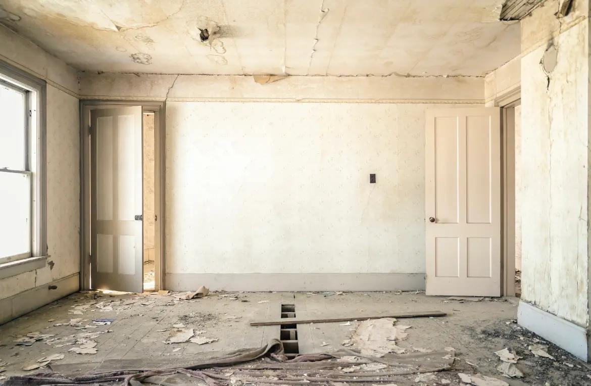 Waste disposal crew managing a cleanout project in Ainaloa